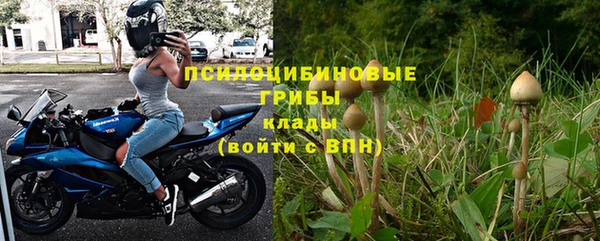 хмурый Горно-Алтайск