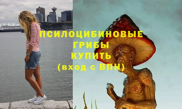 ALPHA PVP Горняк