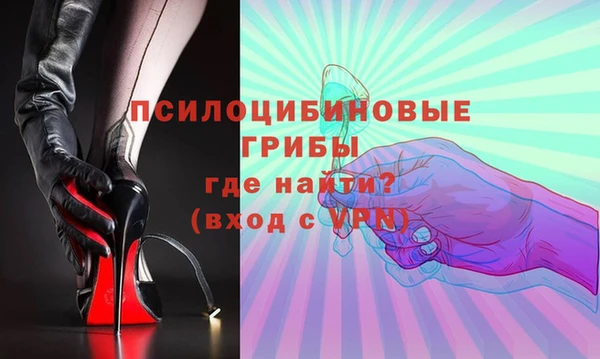 хмурый Горно-Алтайск